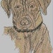 Esther