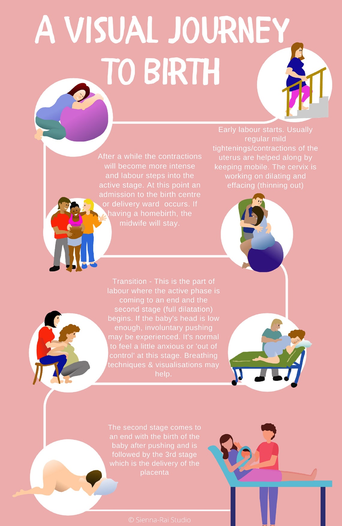 Journey to Childbirth in Stages Visual Education Poster for Etsy