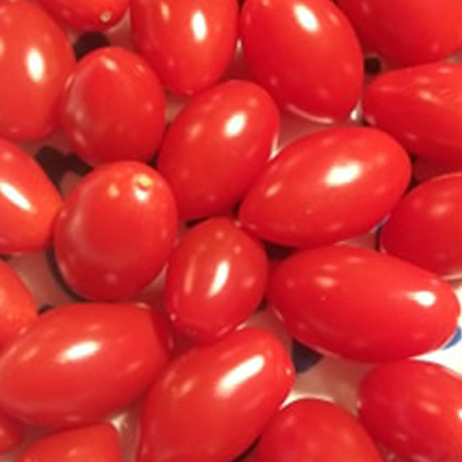 20 Natural Sweet Cherubs Tomato Seeds Non GMO Etsy