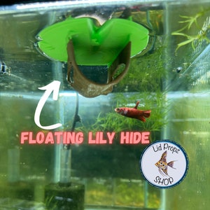 May include: A green floating lily pad hide for aquariums. The hide is suspended in the water and has a brown, curved shelter underneath. A red and white betta fish swims nearby. The text "FLOATING LILY HIDE" is visible.