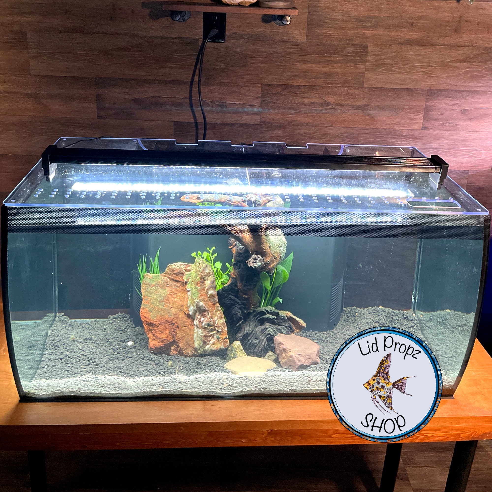 Do You Need a Lid on Your Fish Tank?