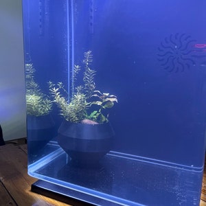 Aquarium Plant Pot. Planted Fish Tank.