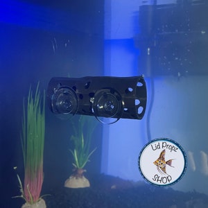 Betta VIEW, krewetka Hide Krótkie miękkie krawędzie dla delikatnych płetw
