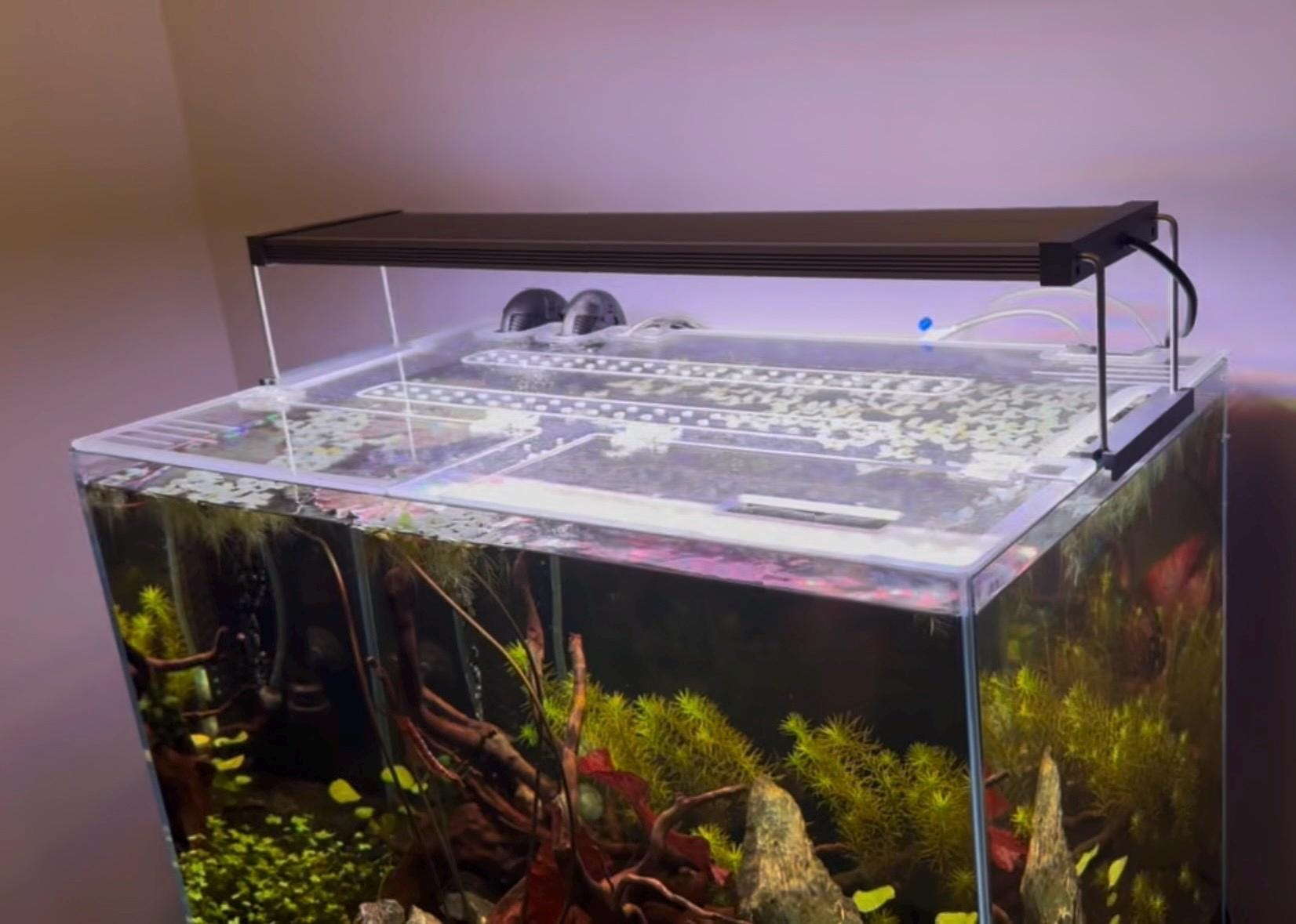 UNS Aquarium Lid - Rimless Tanks - Clear Fish Tank Cover for Ultum ...