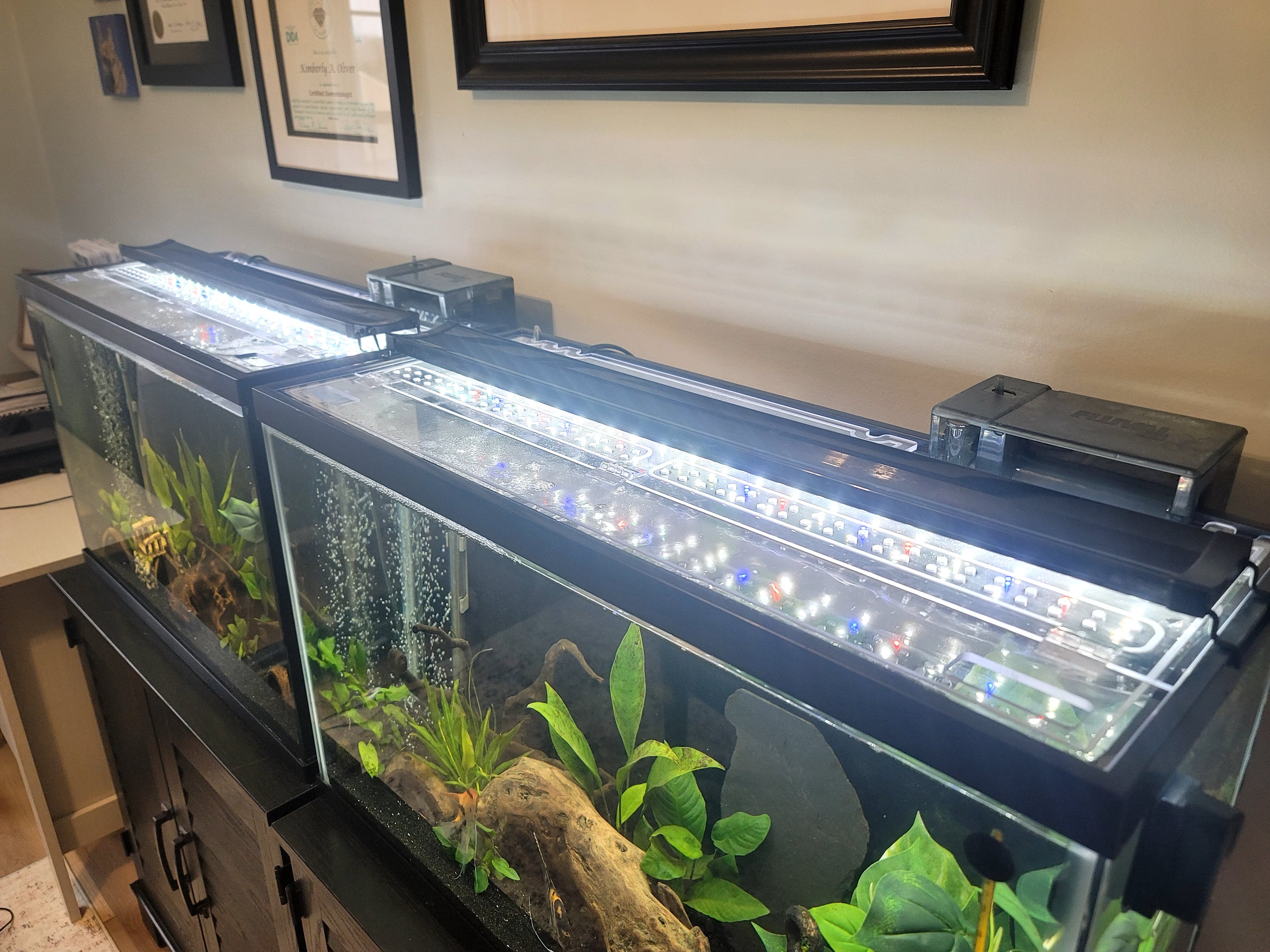 Homemade Custom Fish Tanks
