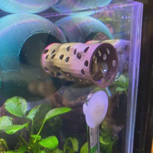 Betta VIEW, Shrimp Hide Short Soft Edges For Delicate FinsFREE SHIPPING!