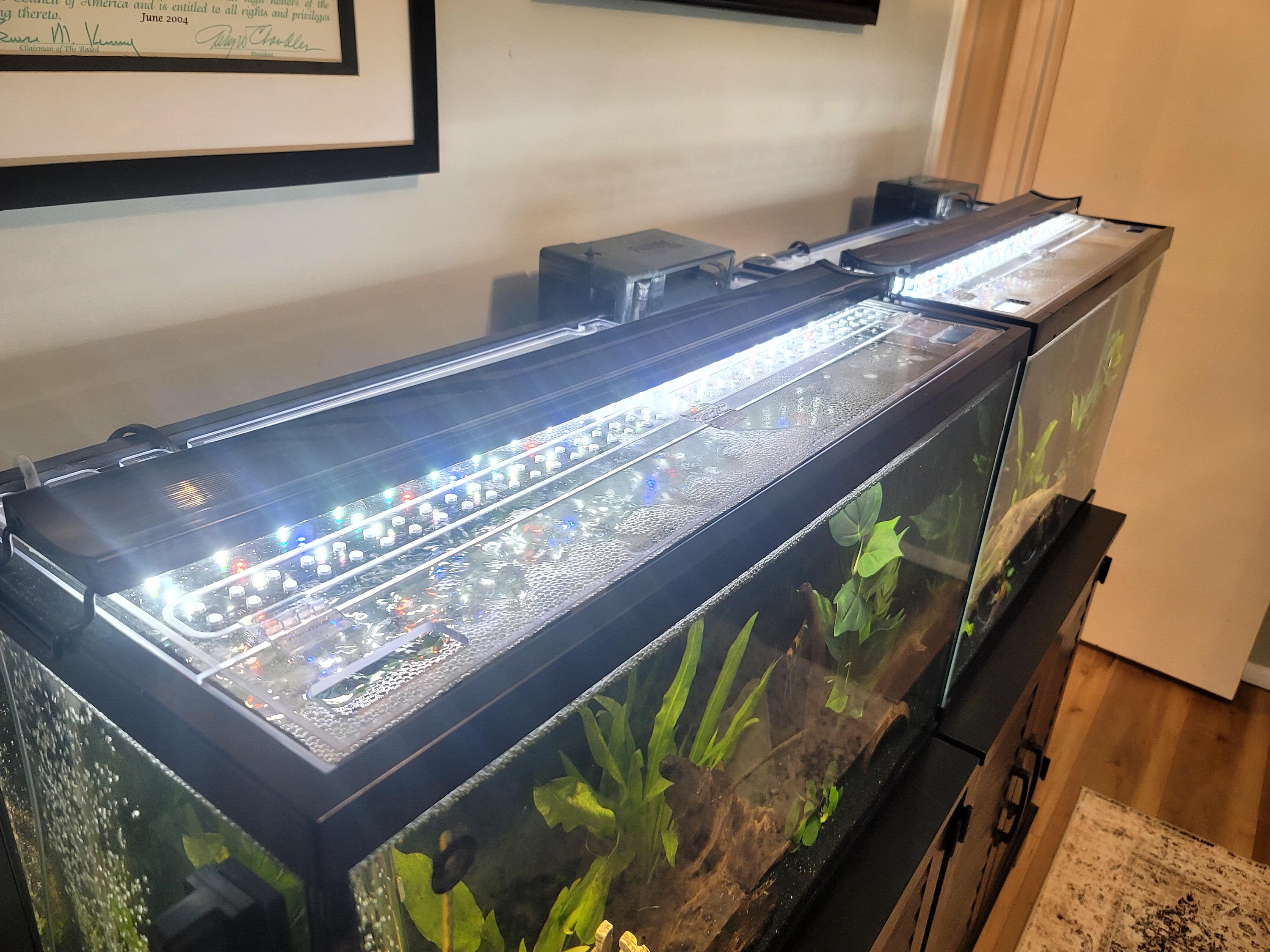 Clear Marineland Lid All Sizes, 10, 20L, 20H, 29, 36 Gal. Bow