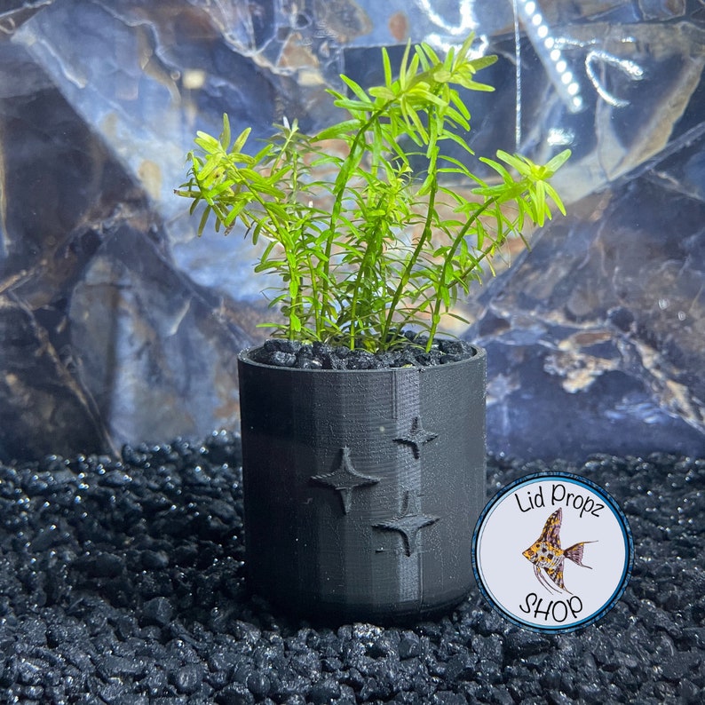 Aquarium Pots for Aquarium Plants Clean Planted Aquariums Etsy