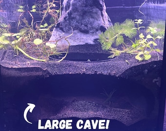 Huge 7"x7" Shrimp Maze Cave – The Ultimate 3D-Printed Playground for Shrimp, Nano Fish & Bottom DwellersFREE SHIPPING!