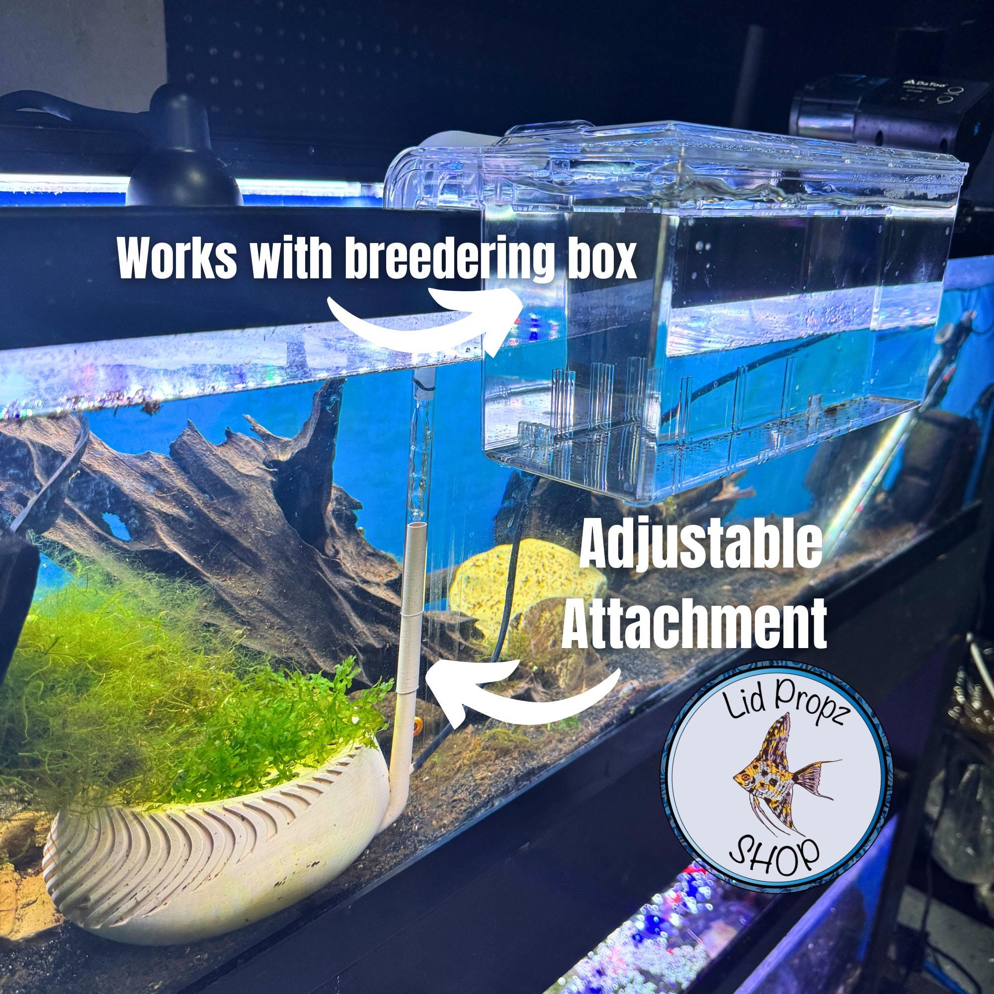egg box for fish tank Incubator and Tumbler: Aquarium Cichlid Hatchery with Inbuilt Air Pump Ensure safe after reading several horror stories