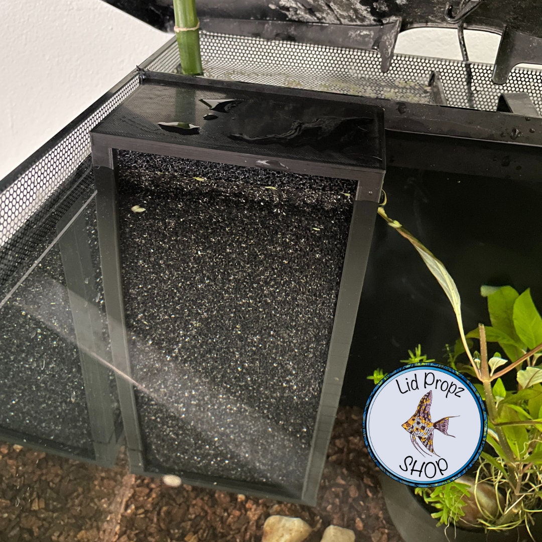 Shrimp Grazing Intake Cover Fluval Flex and Fluval Spec Etsy