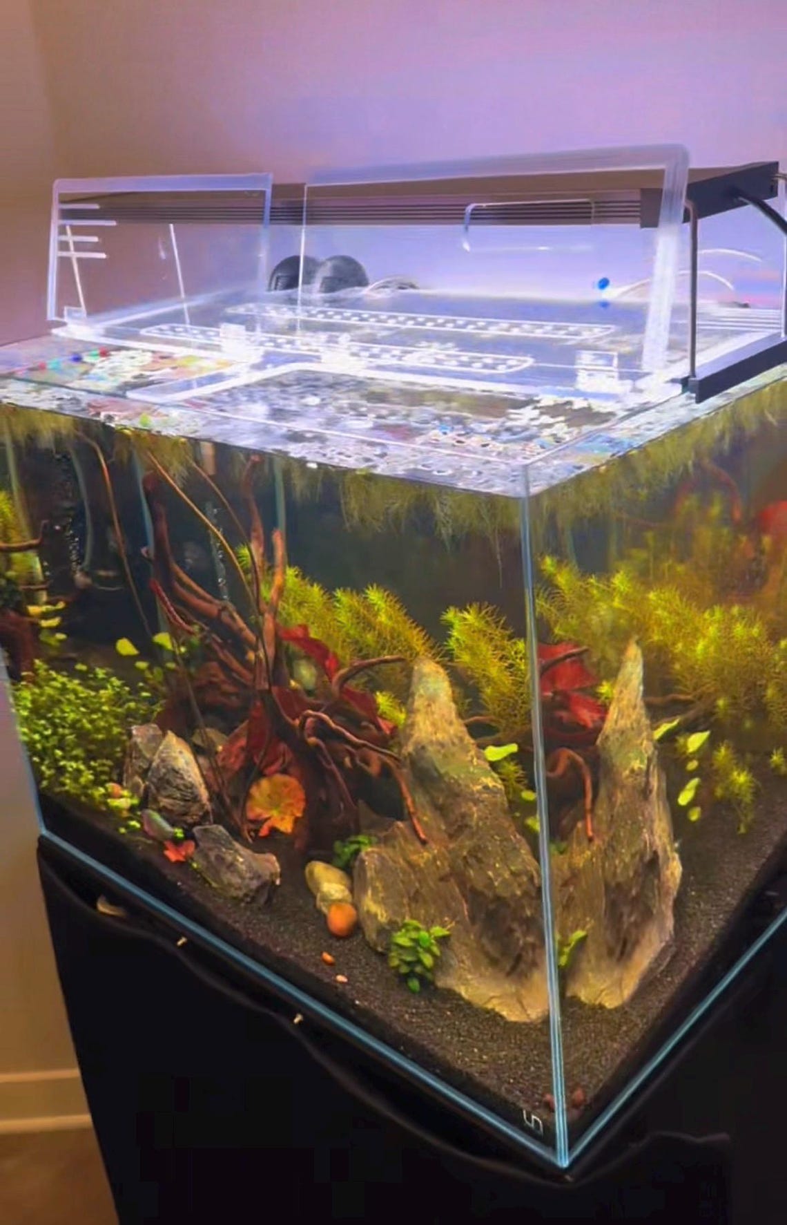 UNS Aquarium Lid - Rimless Tanks - Clear Fish Tank Cover for Ultum ...