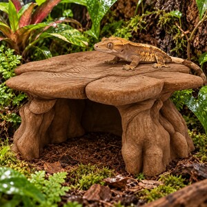 May include: A brown, textured reptile hide shaped like a tree stump with a flat, wide top surface. A light brown crested gecko with dark brown spots and large eyes is resting on the top of the stump, facing toward the left side of the frame.