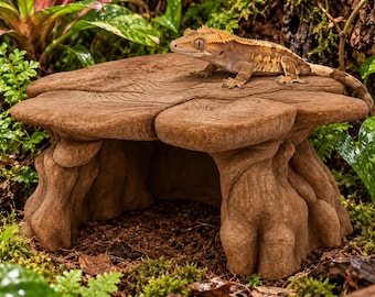 Gecko Hide & Basking Platform | Reptile Cave with Large Top Ledge | Crested Gecko Terrarium Decor | 8"x8"x5" - Safe PETG