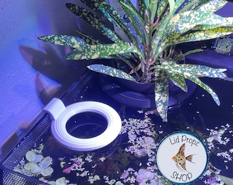 Aquaponics Aquarium Potted Plant Holder: Nitrate ReducerFREE SHIPPING!