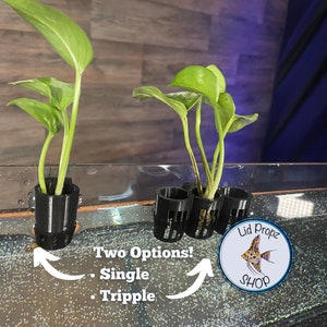 Aquaponics Aquarium Plant Holder 1" Plant Opening, Great for Pothos, Wondering Dude, and many other plants. Nitrate Reducer!