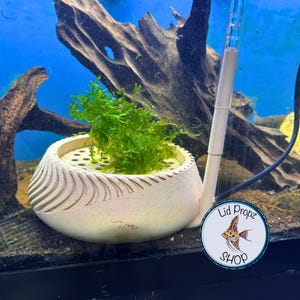 Automatic Fish Egg Catcher for Egg-Scattering Fish – Perfect for CPD & Galaxy Rasboras, Cherry Barbs, etc. Attaches to Breeding Boxes