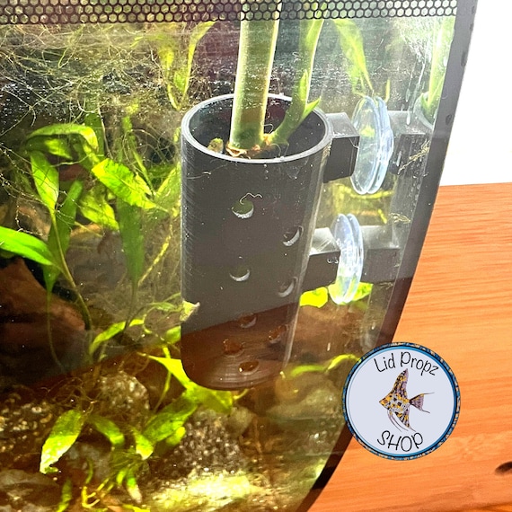 Acquista Piante di Frutteti da Giardino Bonsai Domestico Supporto Per Piante in Plastica a