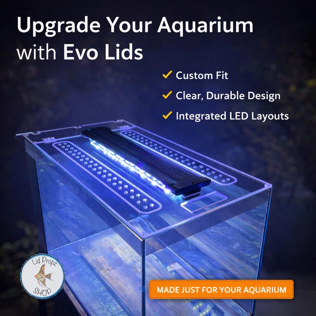 Clear Hinged Fish Tank Lid for Fluval Flex, Evo, Spec - Etsy