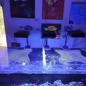 Sonderanfertigungen! Für Aquarien. Clear Non BowingVersandkostenfrei!