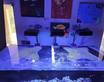 May include: Two blue LED lights are mounted on a white surface with a clear glass top. The lights are positioned over two white, star-shaped mats. The surface is illuminated with a blue light.