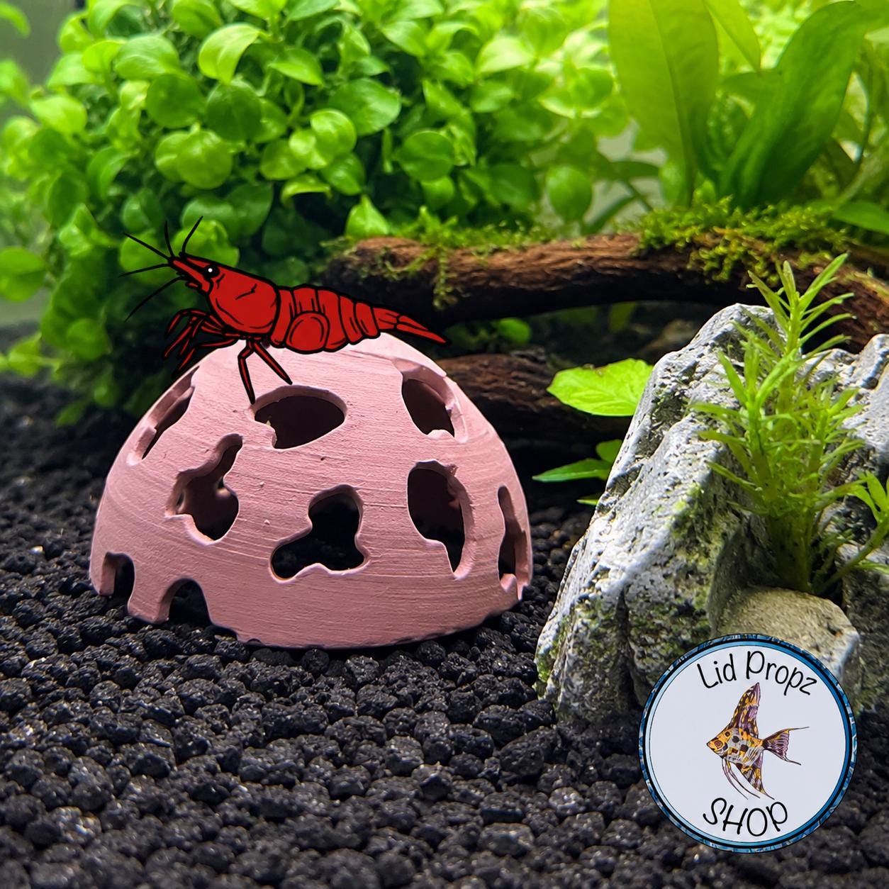 Aquarium Moss Cage: Clean Moss Holder for Shrimp. - Etsy