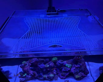 CLEAR lids for TIDELINE TANKS