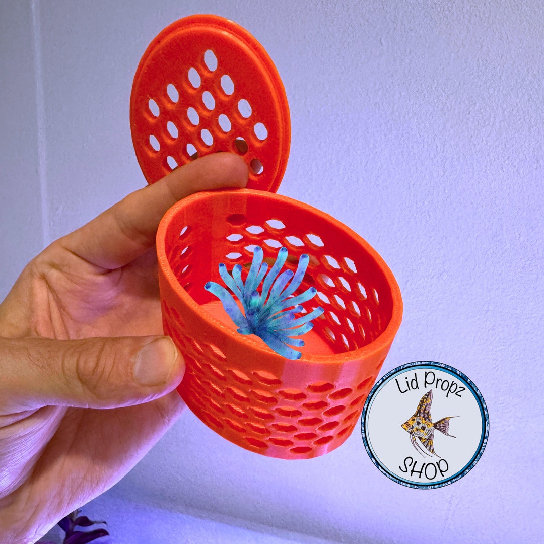Reef Safe Coral Box (ABS): Frag Protection for Delicate