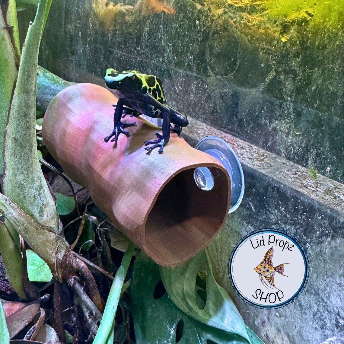Blue Dart Frog Tube: Reptile Hideaway, Safe Relaxationfree SHIPPING! - Etsy