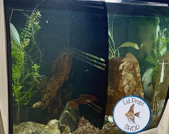 Séparateur de réservoir Flex Fluval : Betta, crevettes, séparateur d'aérosols (15, 9, 32 gallons) LIVRAISON GRATUITE !
