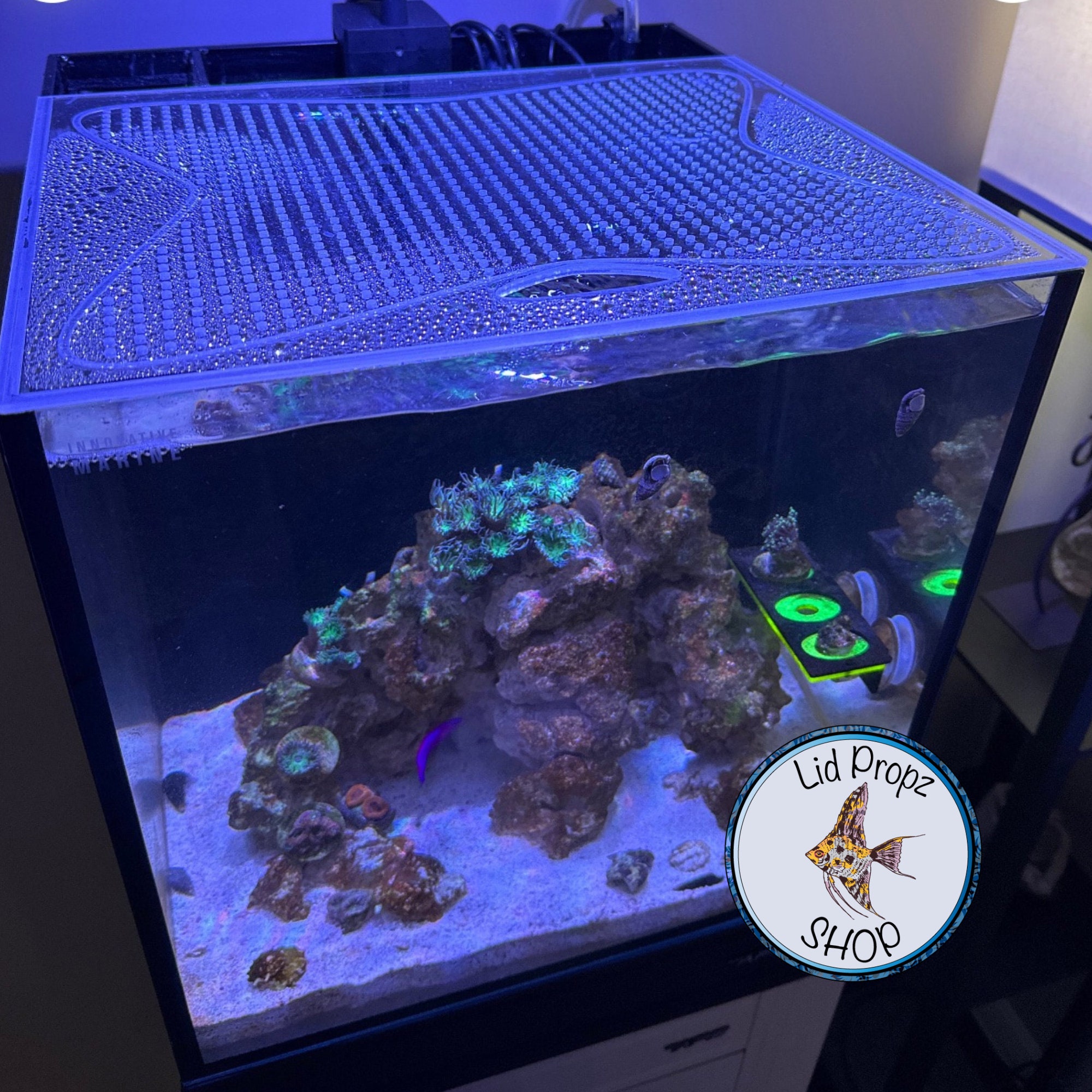 15 gallon aquarium hood discount