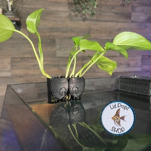 Aquarium Plant Holder: Nitrate Reducer with Strong Suction Cups