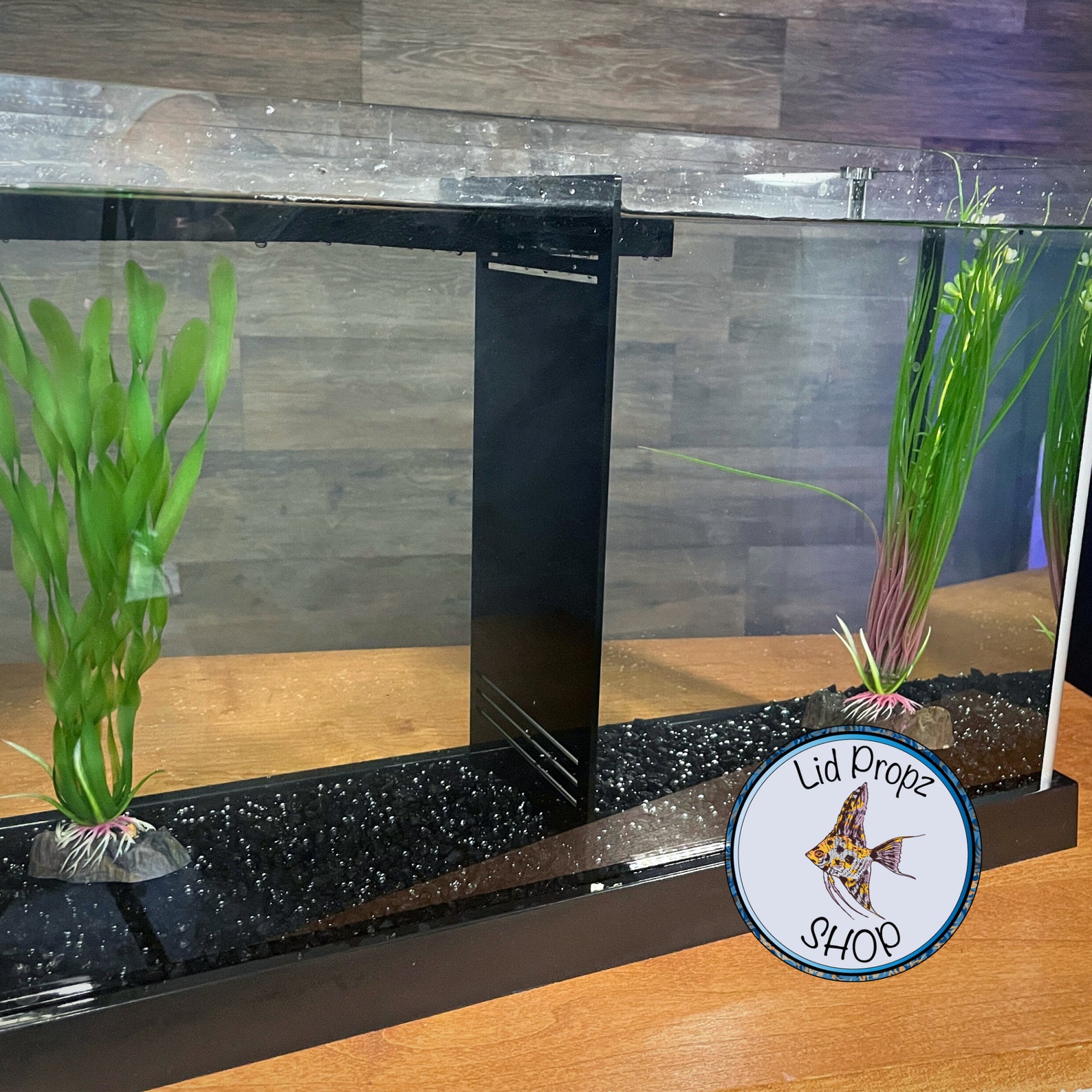 Tank Divider and Spray Bar Fluval Spec 3 and 5 Gallon Tank Etsy UK