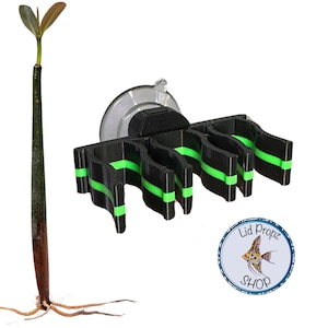 May include: Black and green plant holder with suction cup, designed to hold multiple plants. The holder has four slots with green accents. The holder is attached to a white background.
