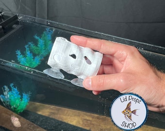 White Betta Peak VIEW, Short Soft Edges For Delicate FinsFREE SHIPPING!