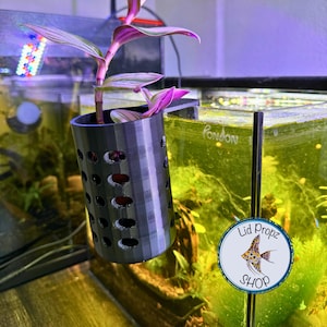 Aquarium Plant Stem Holder with LECCA Balls: Fish Tank Propagation