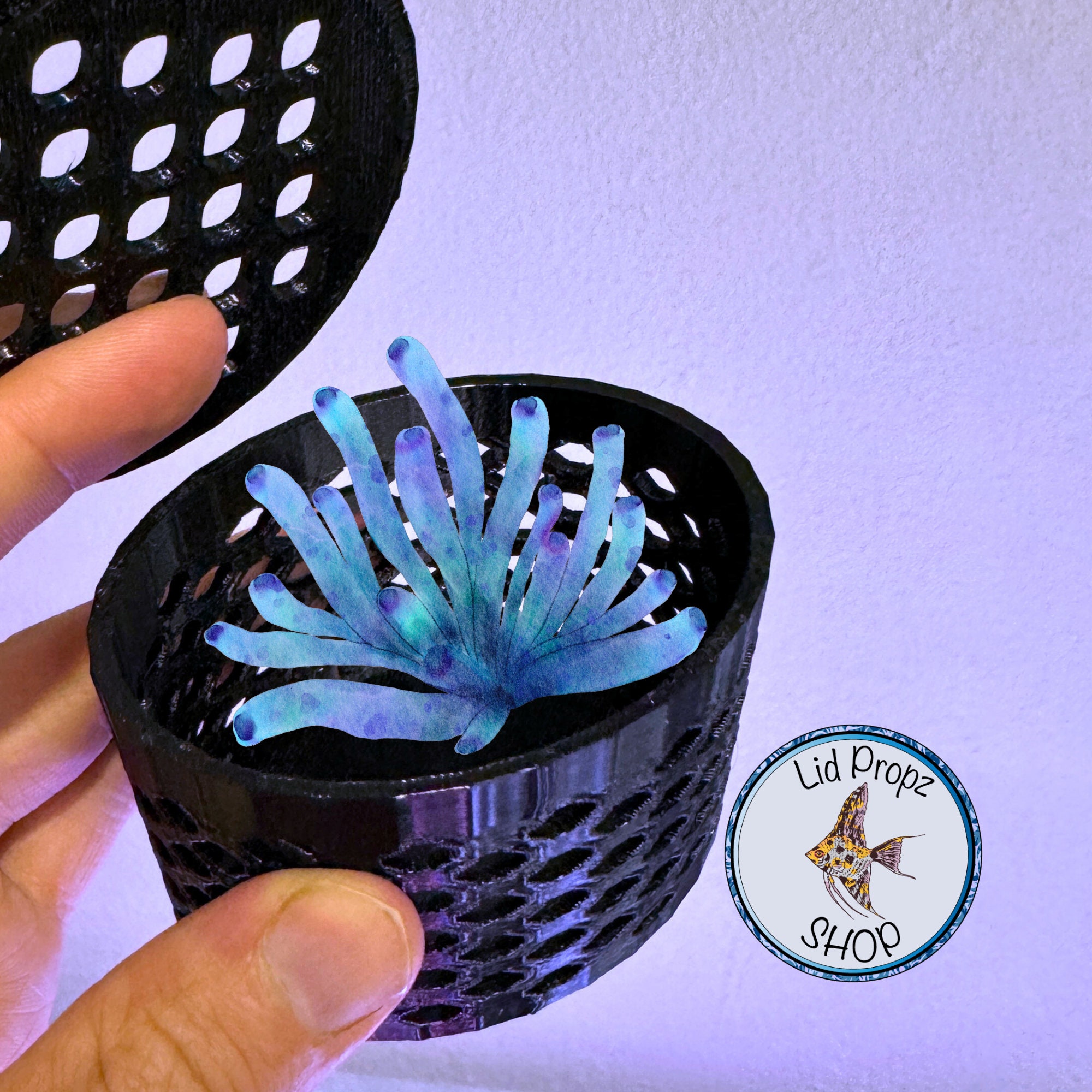 Reef Safe Coral Box (ABS): Frag Protection for Delicate
