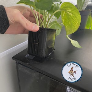 Fluval Flex Plant Insert: Aquaponic Houseplant Filter, Nitrate Reduction
