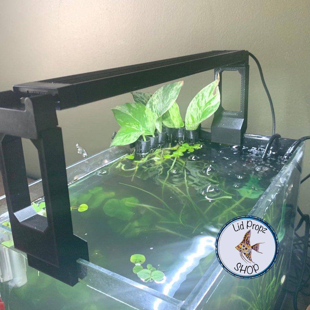 fluval light not connecting