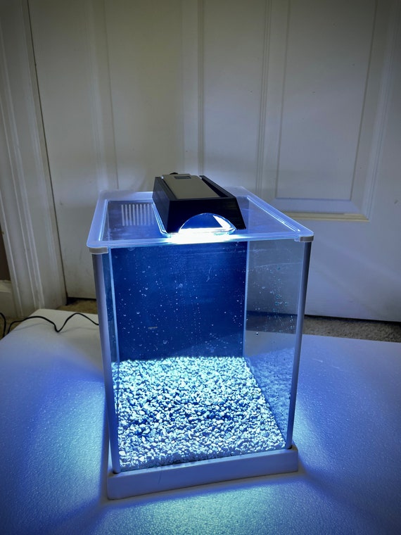 tetra floating starter kit