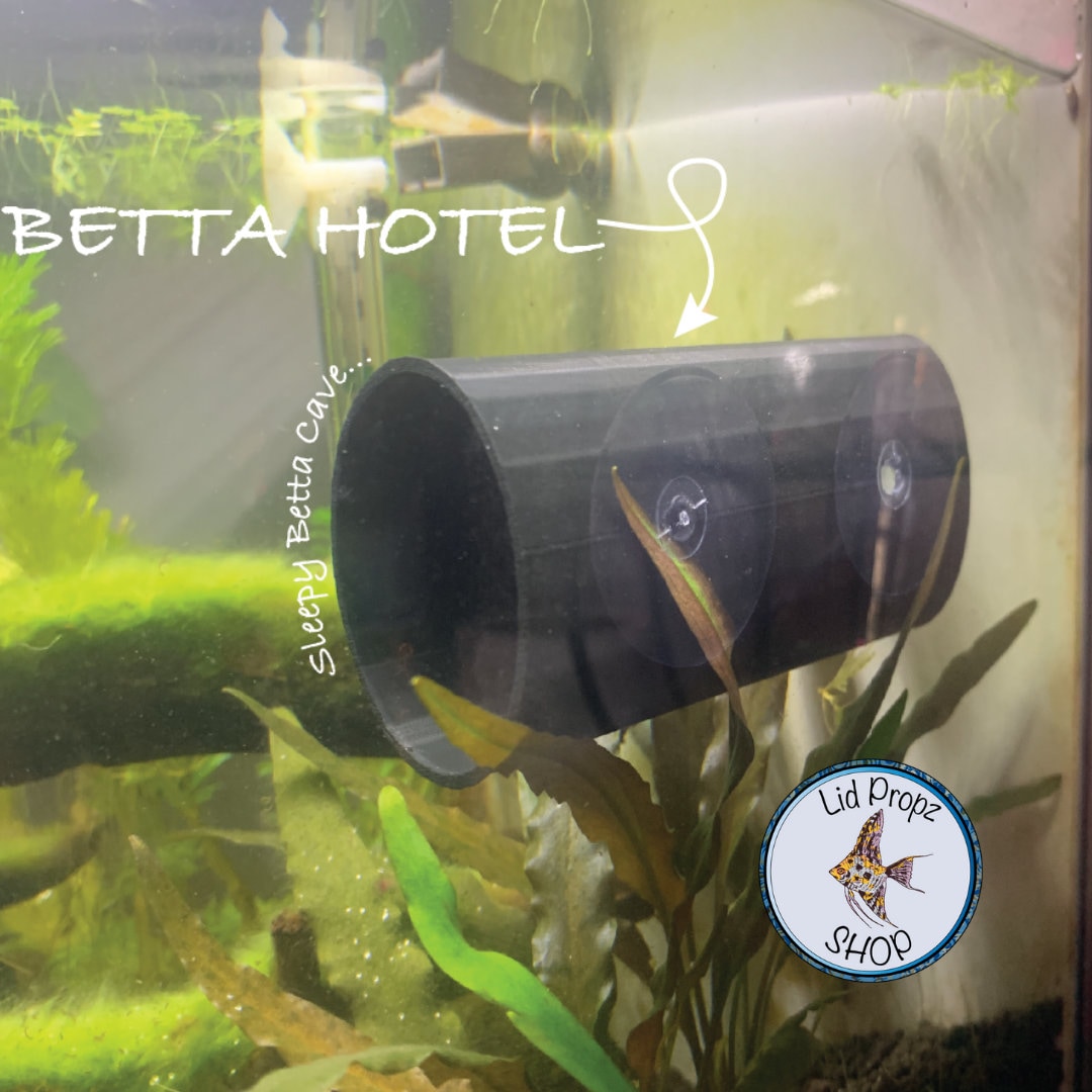 Betta Fish Relaxation Tube, Black, Blue, Red, White, Silver, Two Suct…
