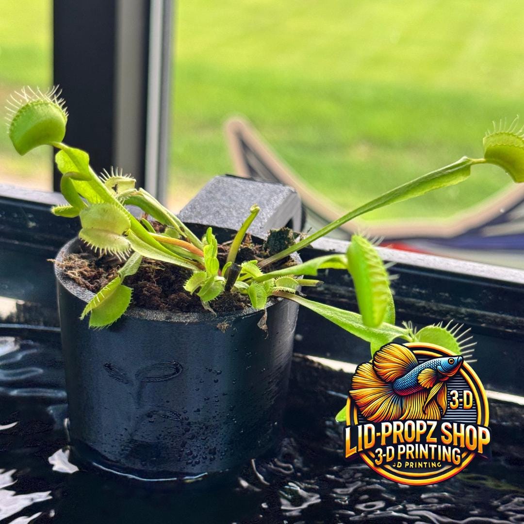 Fish Tank Carnivorous Plant Holder: Venus Fly Trap, Sundew, Pitcher ...