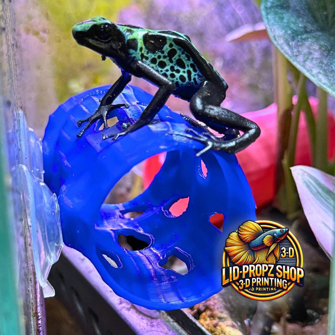 BD-FROG カスタム Dart Frog Tube: Food-grade Reptile Hideaway. - Etsy