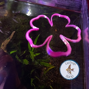 Flower betta feeding ring, floating betta ring food separator, pink and green cute heart. 2&quot;