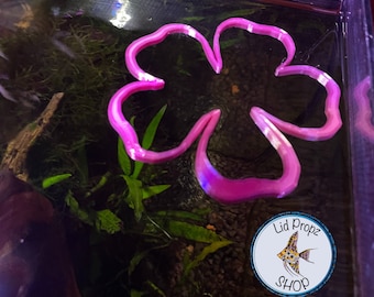 Flower Betta Feeding Ring: Floating Food Separator (2").