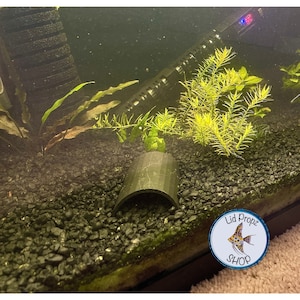 Fish tank cave, MEGA 10&quot;, REGULAR 4&quot;, Pleco fish hide cave
