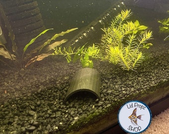 Pleco Fish Hide Cave: Aquarium Tank Decor (10" MEGA, 4" REGULAR)