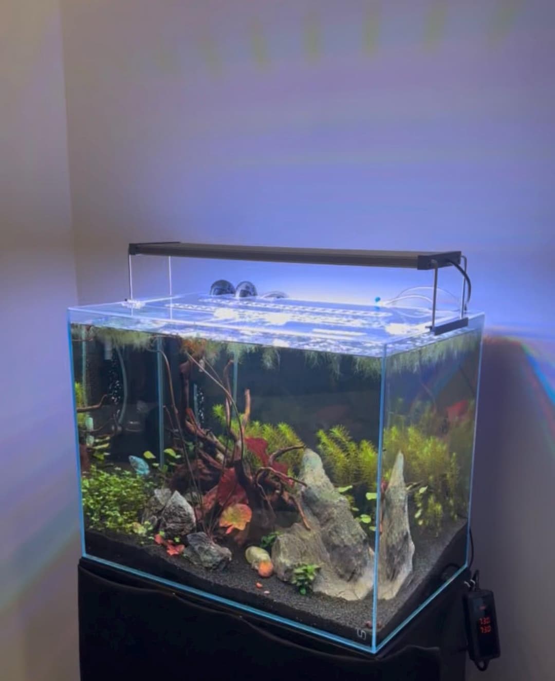 UNS Aquarium Lid - Rimless Tanks - Clear Fish Tank Cover for Ultum ...