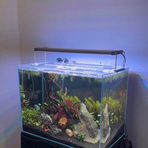 UNS Aquarium Lid - Rimless Tanks - Clear Fish Tank Cover for Ultum Nature Systems Tanks - Perfect Fit - FREE SHIPPING