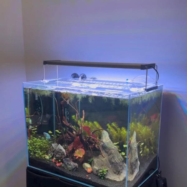 UNS Akvarielock - Rimless Tanks - Transparent akvarielock för Ultum Nature Systems Tanks - Perfekt passform - FRI FRAKT